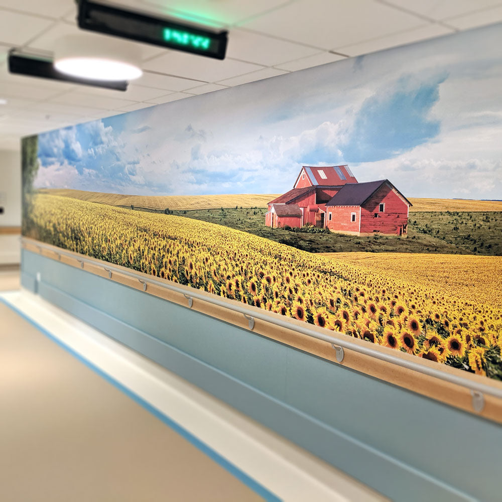 wall mural, wall wrap, gallery wall decal, office wall decal install, custom wall decals, wall murals, removable wall decals, permanent wall decals, wall decals Winnipeg, wall decals Manitoba, wall decals fast