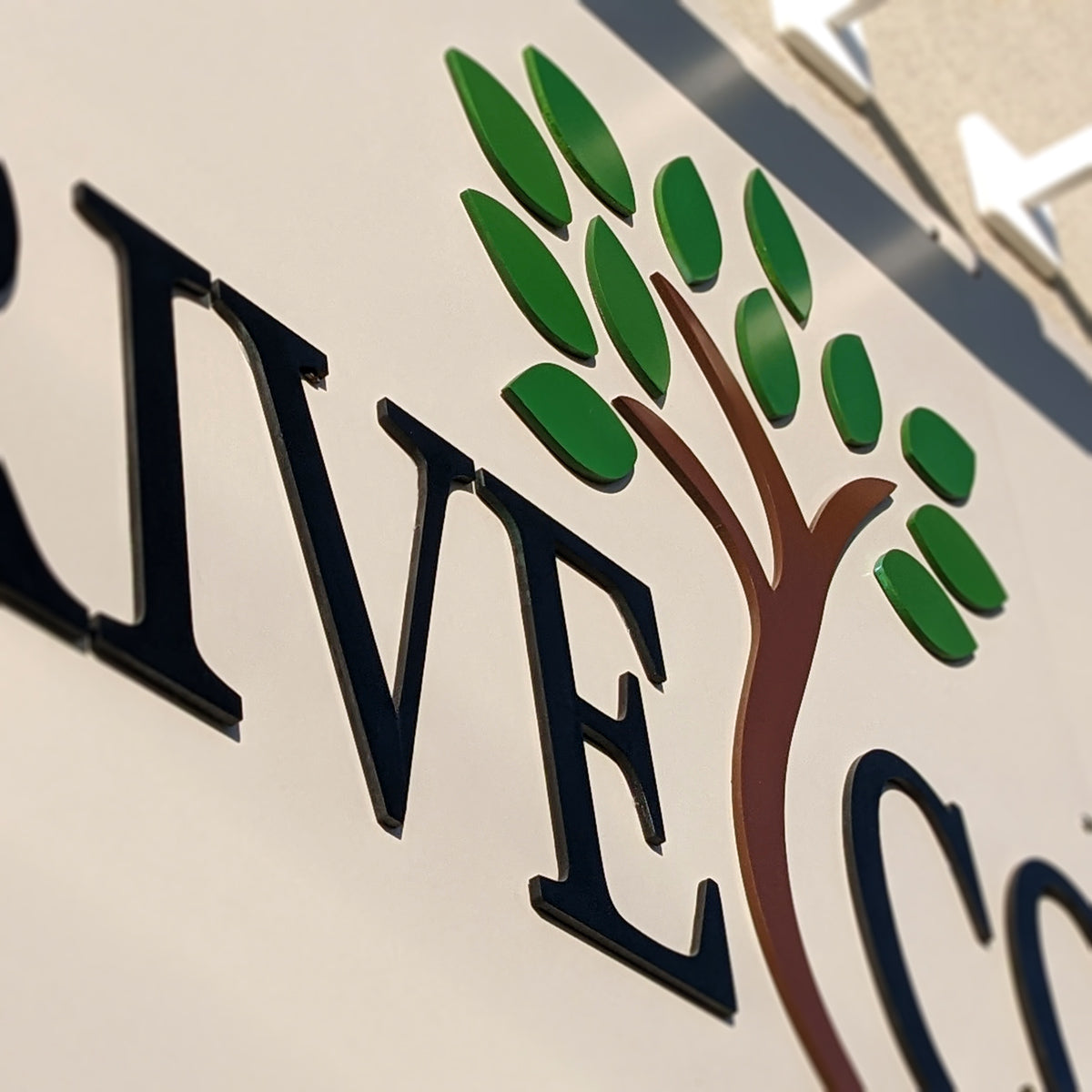 acrylic, pvc, aluminum office, interior, exterior sign Winnipeg, router cut signs Winnipeg, reception logo signs Winnipeg, health clinic wall logo Winnipeg, business wall logo Winnipeg